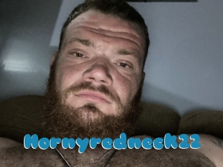 Hornyredneck22