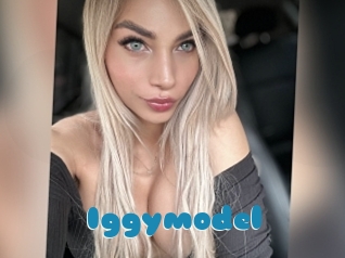 Iggymodel