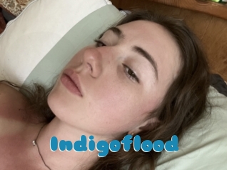 Indigoflood