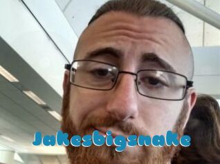 Jakesbigsnake