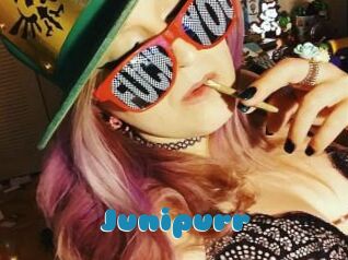 Junipurr