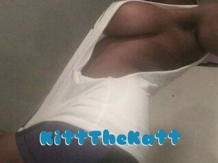 Kitt_The_Katt