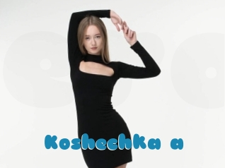 Koshechka_a