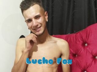 Lucho_Fox