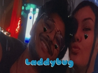 Laddybug