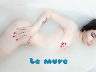 Le_mure