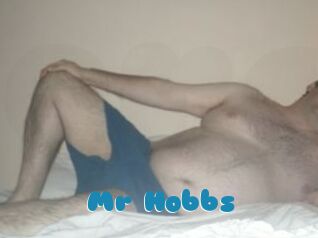 Mr_Hobbs