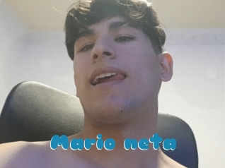 Mario_neta