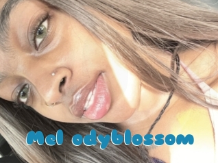 Mel_odyblossom