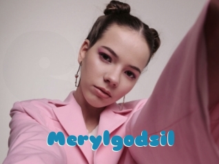 Merylgodsil