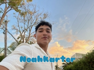 Noahkarter