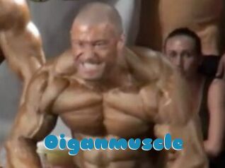 Oigan_muscle