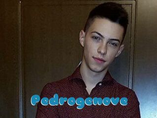 Pedrogenove