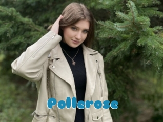 Pollerose