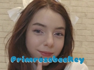 Primrosebeckey