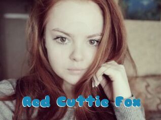 Red_Cuttie_Fox