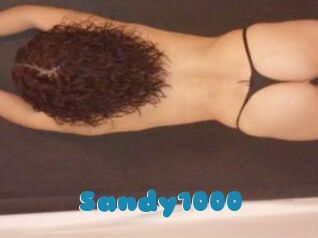 Sandy1000