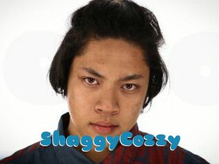 ShaggyCozzy