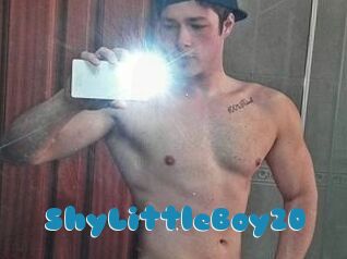 ShyLittleBoy20