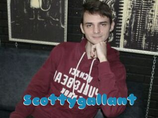 Scottygallant