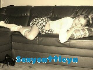 Sexycattleya