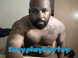 Sexyplayboytoy