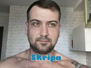 Skripa