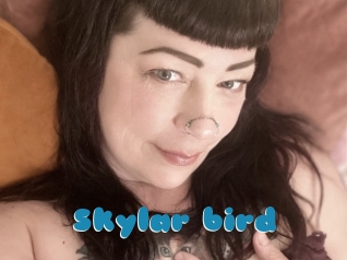 Skylar_bird