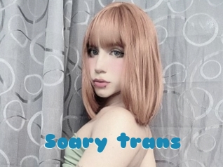 Soary_trans