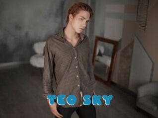 TEO_SKY