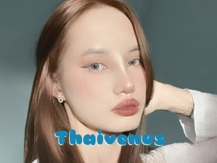 Thaivenus