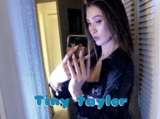 Tiny_taylor