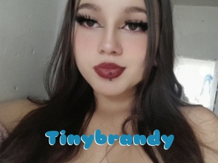 Tinybrandy