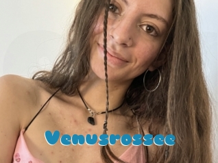 Venusrossee