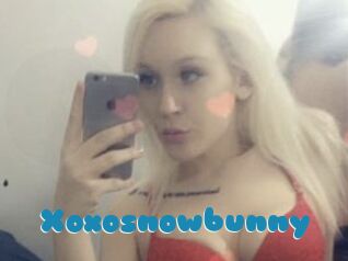 Xoxosnowbunny