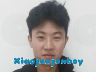 Xiaojunjunboy